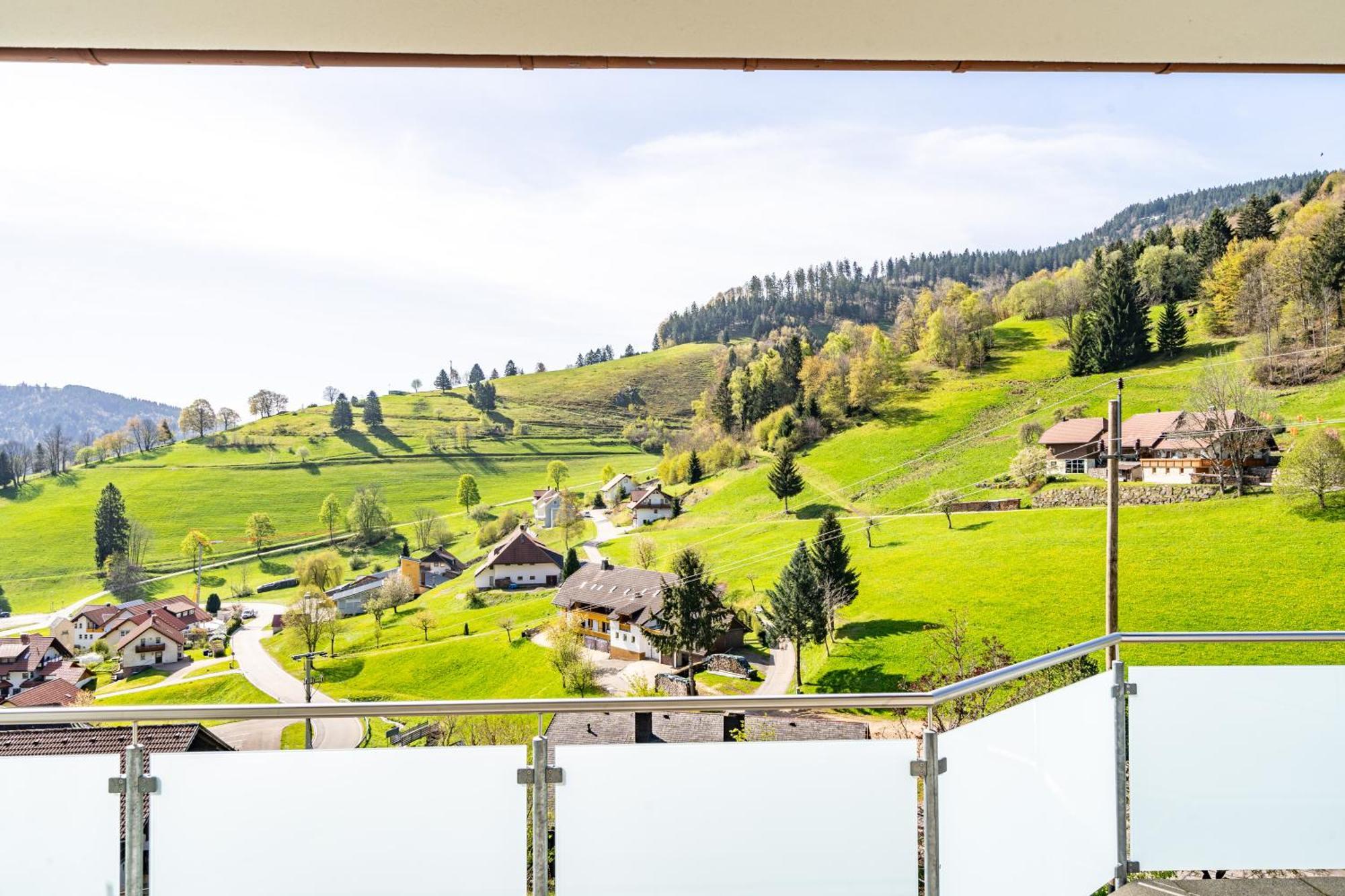 Schwarzwald Hotel Wiedenerhof 외부 사진